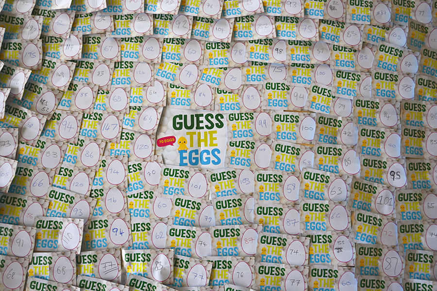 guess the eggs