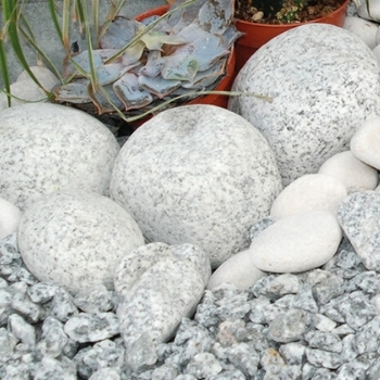 Long Rake Spar Silver Grey Boulders 200mm-250mm - Image 2